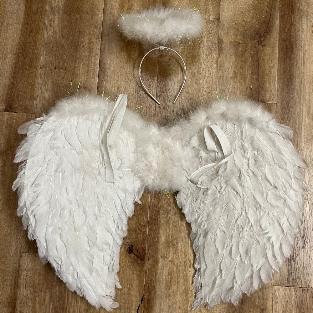 Angel Wings and Halo